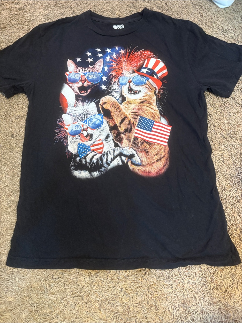Patriotic Black Cat Graphic Tee for Pets